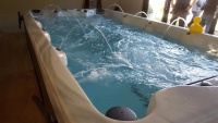 Бассейн СПА с противотоком Vita Spa Swim Spa VL 4 Бассейн СПА с противотоком Vita Spa Swim Spa VL 4