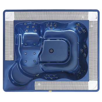 Спа бассейн Jacuzzi Virginia Professional