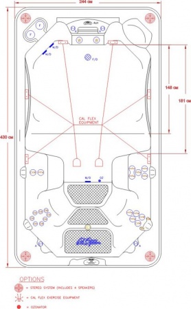 Спа бассейн Cal Spas Champion Spa Спа бассейн Cal Spas Champion Spa