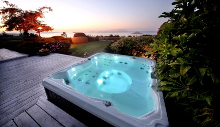 Спа бассейн Jacuzzi J-245 Спа бассейн Jacuzzi J-245